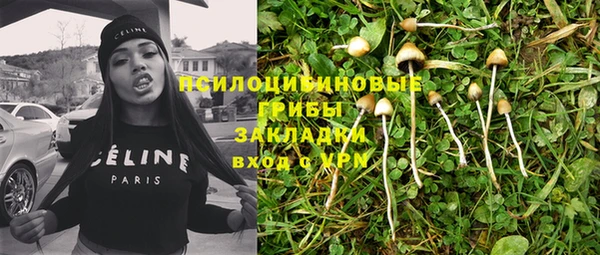 ALPHA PVP Алексин