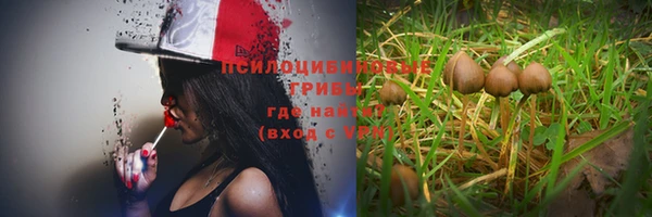 ALPHA PVP Алексин