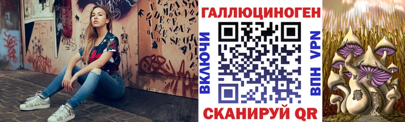 Псилоцибиновые грибы Magic Shrooms  Тогучин 